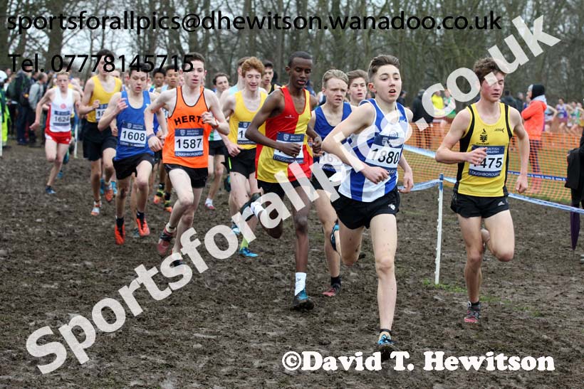 Boys under-15s Inter Counties Cross Country, Prestwold Hall, Loughborough. Photo: David T. Hewitson/Sports for All Pics